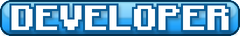 DEVELOPER rank tag