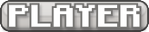 PLAYER rank tag